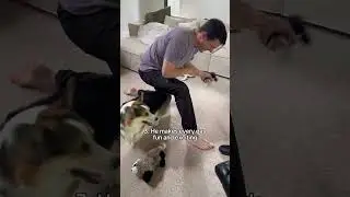 Happy Father's Day to all the dog dads out there!