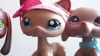 LPS Music Video-Rockin' Around the Christmas Tree~LPSrockstars Music Video Contest~