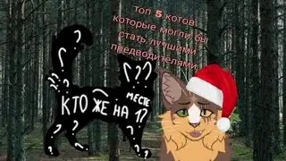 Топ 5 котов которые могли бы стать предводителями // Мужская версия // Коты воители // Белолапая Кв