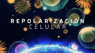 Repolarización Celular