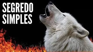 Um Segredo Vital para sua Evolução.