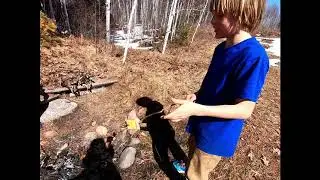 Having a camp fire and playing