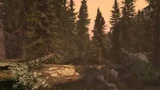 Skyrim SE on low-med hardware (960m, 6700hq) with mods