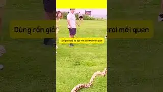 Dùng rắn để hù dọa bạn trai mới quen || Use snake to scare new boyfriend, #shorts