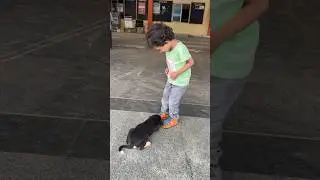 Animal Lover