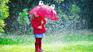 Nice raining day Rain &Thunder  beautiful Sounds, Nature. deep sleeping and study with music vol 57
