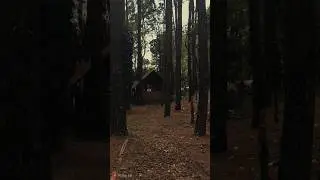 Gubuk tua di tengah hutan #shorts #viral #horrorstories