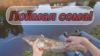 ПОЙМАЛ СОМА на ДОНКУ! РЫБАЛКА на СОМА на Речке. Ловля СОМА на ЧЕРВЯ. Рыбалка на сома