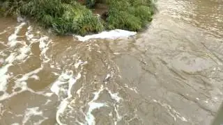Boulder Creek 2013-9-12 Part 30