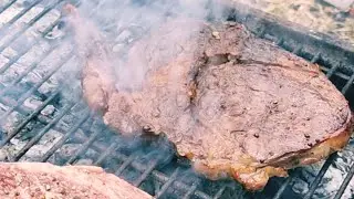 Видео для тех кто любит Шашлыки (Мяса Кристал) #шашлык #вкуснаямяса