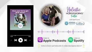 Does your horse get girth sores? Here is what you can do. | Holistic Horseworks Talks