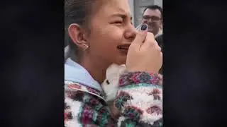 Кошачьи истории.
