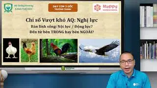 Cách rèn luyện nghị lực cho con | Thầy Trần Việt Quân