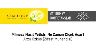Mimoza Nasıl Yetişir, Ne Zaman Çiçek Açar? Arzu Özkuş (Ziraat Mühendisi)