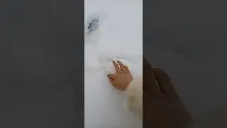 Кеча к,уёш бугун к,ор табиятни яратган Аллахга шукур 🤍🤍 бу гозалик га тоймаймиз 💋🥰