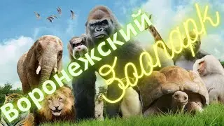 ВОРОНЕЖСКИЙ ЗООПАРК ИМЕНИ А.С. ПОПОВА ...Парк Авиастроителей. VORONEZH zoo NAMED after A. S. POPOV