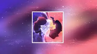 DTF - Bibi Instrumental
