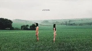 PUR:PUR – Adam (feat. Dub Beans, official video)