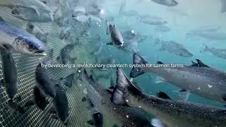 The Unusual Way Forward | Poseidon Ocean Systems