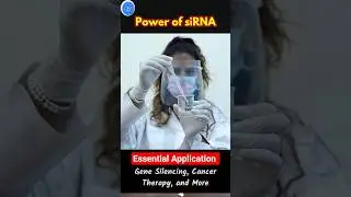 Power of siRNA: 7 Essential Applications Explained | Gene Silencing, Cancer Therapy, and More 