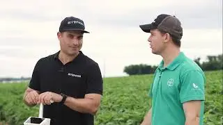 Análise de Solo com Farm Lab: Histórias de Sucesso - Trigo | Marechal Cândido Rondon/PR