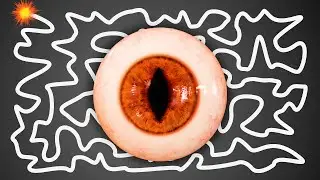 1 Minute Timer Bomb [EVIL EYE] 👁️