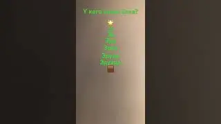 У кого выше Ёлка????