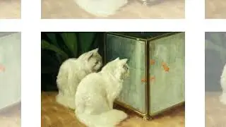 Золотая рыбка