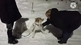 приветик от крошки