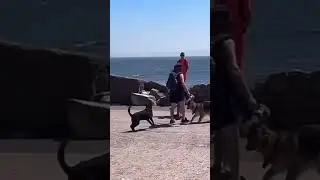 il caldo fa brutti scherzi 