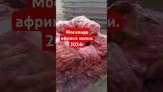 Африка москва мигрант #automobile #phonkbrasil #phonkbr