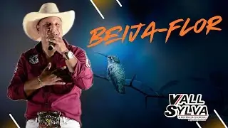 BEIJA-FLOR - DVD VALL SYLVA
