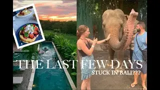 WE'RE NOW IN ISOLATION | Bali Travel Diary | Alannah Jade