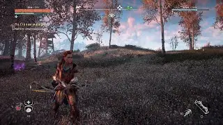 Фантастический Horizon  на sony playstation 4!