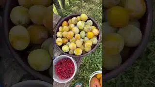 Пацаны наводят порядок в деревне👍❤️