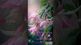 Доброе утро! Счастья и здоровья Вам!