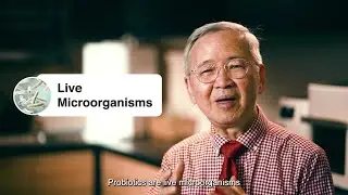 Probiotics and Its Benefits