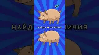 Найди 