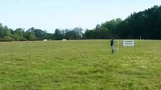 Intrepid Sue NEBCA Novice Finals