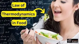 The Physics of FOOD: from Bite to Energy!