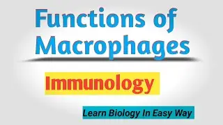 Functions of Macrophages || macrophage function ||Mechanism of Phagocytosis #immunology #biology