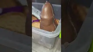 New Year Chocolate in Ukraine