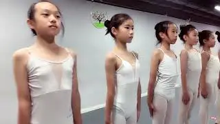 Chinese dance training .mwr
