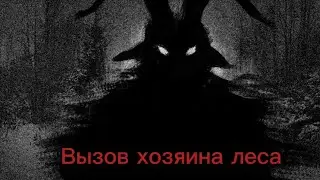 Как вызвать хозяина леса?(Зайчик/Tiny Bunny)