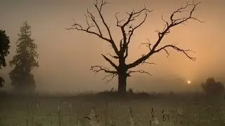 osu! : The Ghost Of 3.13 - Forgotten [grumd] + HR (B)