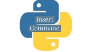 Insert command in python database.