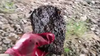 Вот это Криминал нашёл Поисковый Магнит