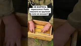 Сухой посол хариуса! #рыбалка