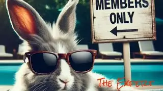 Members Only Stream