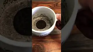Best Oreo Mug Cake Birthday Cake Flavour Oreo #shorts #viral #trending #food #yummy #food #fun #cook